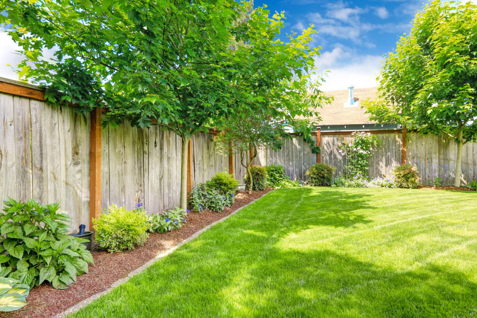 wooden fence